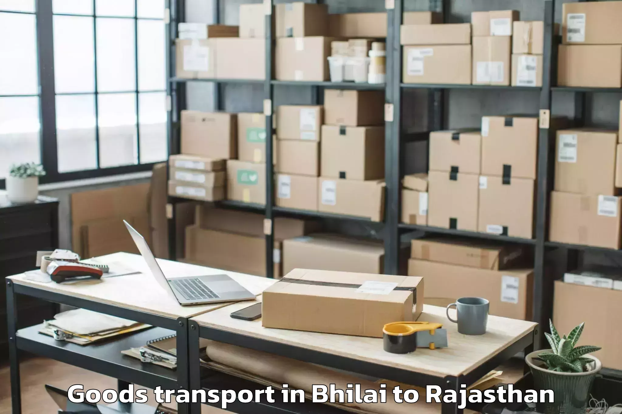 Discover Bhilai to Kotkasim Goods Transport